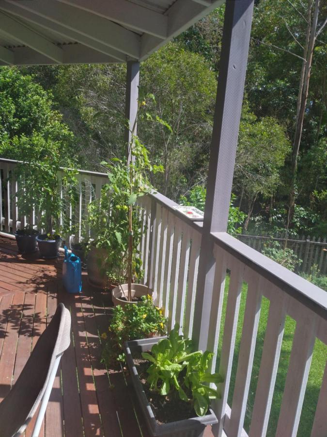 Near To Everything Yet In A Rainforest Setting Tewantin Exterior photo