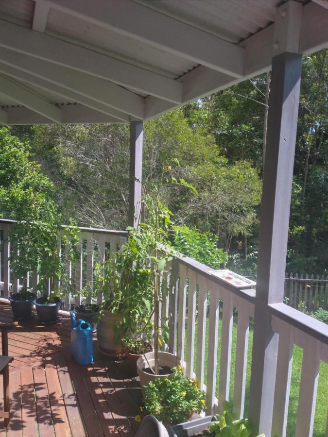 Near To Everything Yet In A Rainforest Setting Tewantin Exterior photo